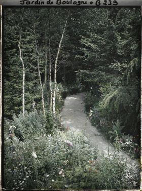 Image représentant La prairie et la forêt dorée à l'orée de la forêt vosgienne