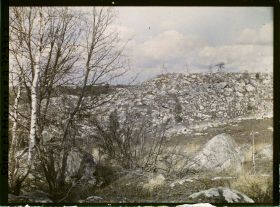 Image représentant Forêt