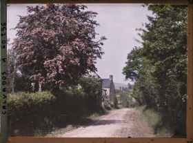 Image représentant Les aubépines