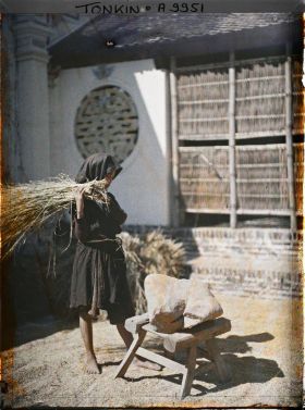 Image représentant Le battage du riz après la moisson devant la pagode Dap-câu