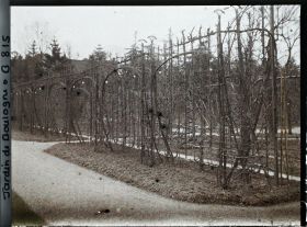 Image représentant Allée du jardin français jouxtant le verger-roseraie, en direction du " village japonais "