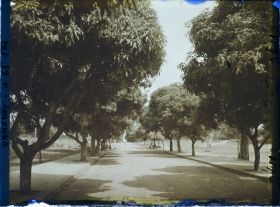 Image représentant L'avenue du Gouvernement (?)