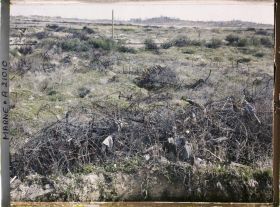 Image représentant France, Loivre, Réseaux de barbelés enlevés du Canal