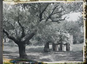 Image représentant Le tombeau de la Sultane dans le bois sacré de Sidi Yakoub