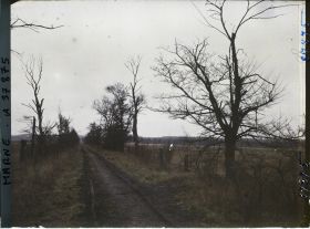 Image représentant France, La Pompelle, Nouvel aspect de l'Allée Noire