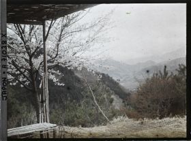 Image représentant Cerisiers en fleurs et paysages de montagne
