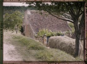 Image représentant France, Près des Eyzies, Type de ferme avec char de foin et un chien