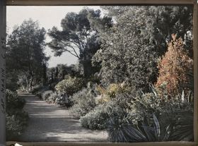 Image représentant Jardin divers