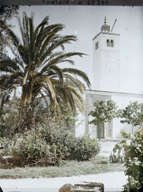 Image représentant La mosquée du palais du Bardo