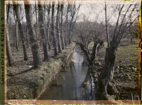 Image représentant Ile de France, Vallangoujard, Bords du Sausseron