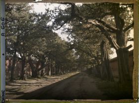 Image représentant Konglin, la nécropole de la famille de Confucius