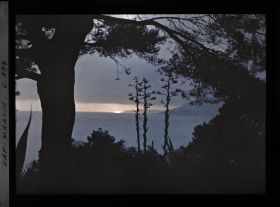 Image représentant Coucher de soleil sur la mer vu du jardin