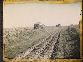 Image représentant Seine et Marne, Guermantes, Champs de Betteraves