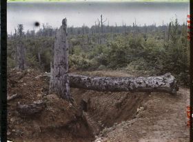Image représentant France, Bois le Prêtre, Tranchée Française de 1ère ligne