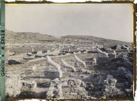 Image représentant La Terrasse des Lionnes
