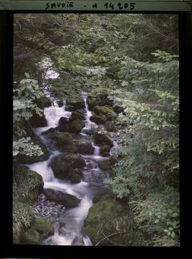 Image représentant Ruisseau de montagne