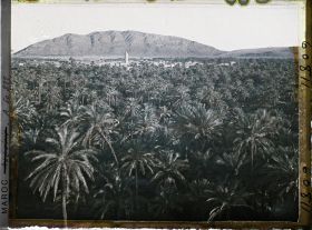 Image représentant Le soir, vue sur la palmeraie de Zenaga