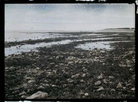 Image représentant Sur l'océan Atlantique, la promenade, actuelle avenue des Minimes