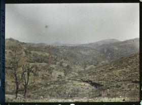 Image représentant Paysage montagneux après un incendie?