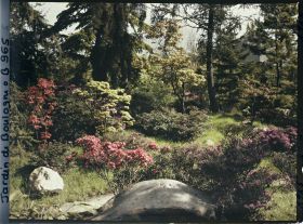 Image représentant Pierres, azalées et érables rougeoyants, situés à l'entrée du " sanctuaire japonais "