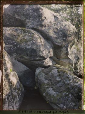 Image représentant France, Fontainebleau, Foret de Fontainebleau, Effet de lumière à travers les arbres.