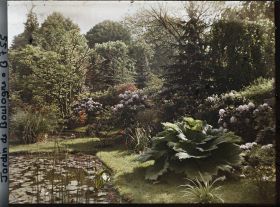Image représentant Massif d'arbustes et gunnera situés en bord " d'étang ", à l'est du marais, vu en direction du nord