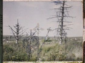 Image représentant France, Combles, Parite Centrale du Cimetière Civil