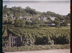 Image représentant Vignoble des coteaux de Vouvray