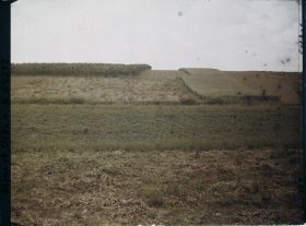 Image représentant Ile de France, Sarcelles-S-Brice, Cultures diverses