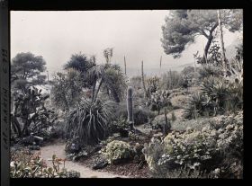 Image représentant Jardin divers