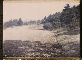 Image représentant Ile de France, Vallangoujard, Terre labourée et ensemencée d'avoine pour la nourriture des lapins de Garenne