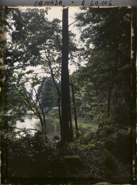 Image représentant Canada, Vancouver, Sous-Bois