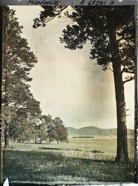 Image représentant L'orée de la taïga, la steppe avec au fond les montagnes