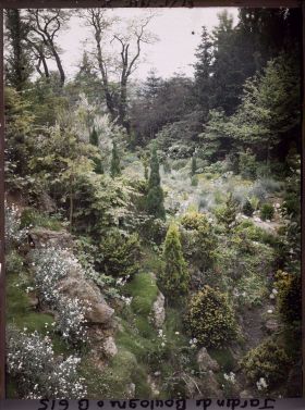 Image représentant Rocaille en pente du " jardin chinois ", ponctuée de conifères et proche du " sanctuaire japonais "