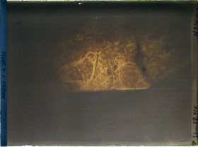 Image représentant La grotte des Trois-Frères : les chouettes