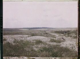 Image représentant France, Barleux, Vue vers le bois de Belloy en Santerre