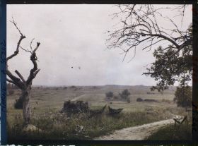 Image représentant France, Vienne le Château, Cote 177, au fond bois des Autry