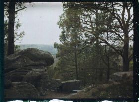 Image représentant France, Fontainebleau, Forêt de Fontainebleau