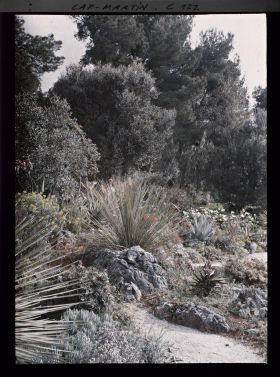 Image représentant Le jardin