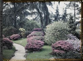 Image représentant Chemin du " sanctuaire japonais " bordé d'érables et d'azalées, à la sortie du " village japonais "