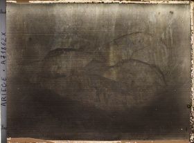 Image représentant Grotte de Niaux : les bisons