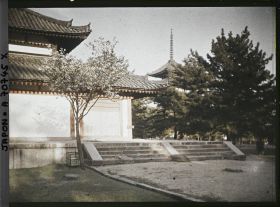 Image représentant Temple Kôfuku-ji : pavillon Chû-kondô et le sommet de la Gojunoto (au fond)