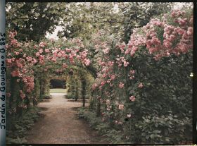Image représentant Axe central du verger-roseraie bordé de légumes, vu vers l'est, à l'approche du jardin français