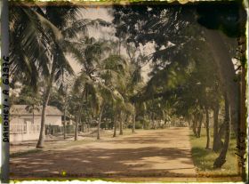 Image représentant L'avenue de la Douane, dans le quartier européen