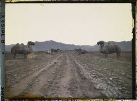 Image représentant Ming Shisanling (" Treize Tombeaux des Ming ")