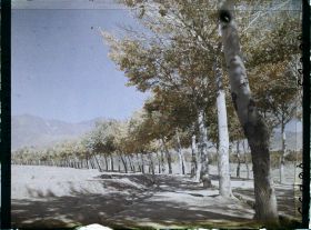 Image représentant Afghanistan, Kaboul, La route de Paghman Kaboul, autre aspect