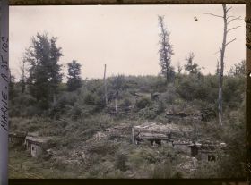 Image représentant France, Binarville (Meuse), Ruisseau de la Vallée Moreau, Secteur allemand et ses abris