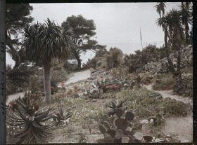 Image représentant Jardin, vue vers la mer
