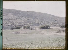 Image représentant Panorama vers l'ensemble des ruines de palais (derrière, le premier bouquet d'arbres, le théâtre), (direction sud-est)