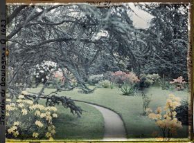 Image représentant Branches de cèdre surplombant le chemin qui mène à l'ouest du marais, fleuri d'arbustes colorés